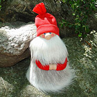 Santa 8 inch