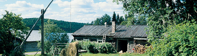 Old House